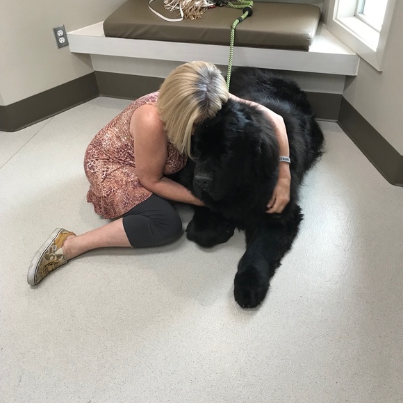 CrAzy Dog Lady! 🐶💖🐾 - Picture 2 of 16